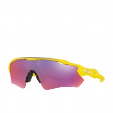 Óculos de Sol Oakley Radar Ev Path Yellow~prizm Road